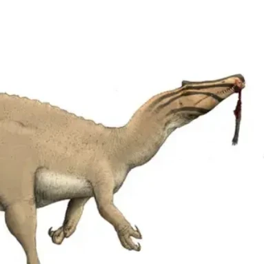 이리타토르