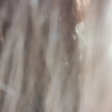 Profile image of 파이브