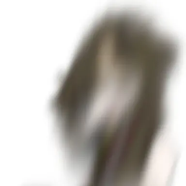 Profile image of 레코