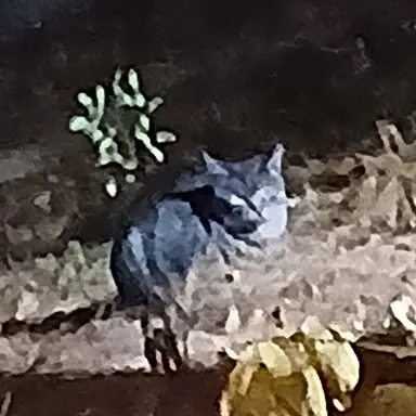 Profile image of 고운성