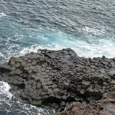 Profile image of 동근혁