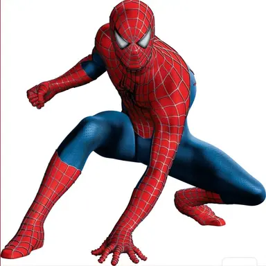 Profile image of Raimi Spider-Man