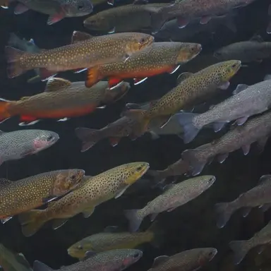 Profile image of 주안