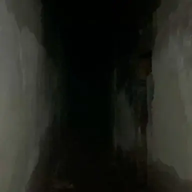 Profile image of Koma