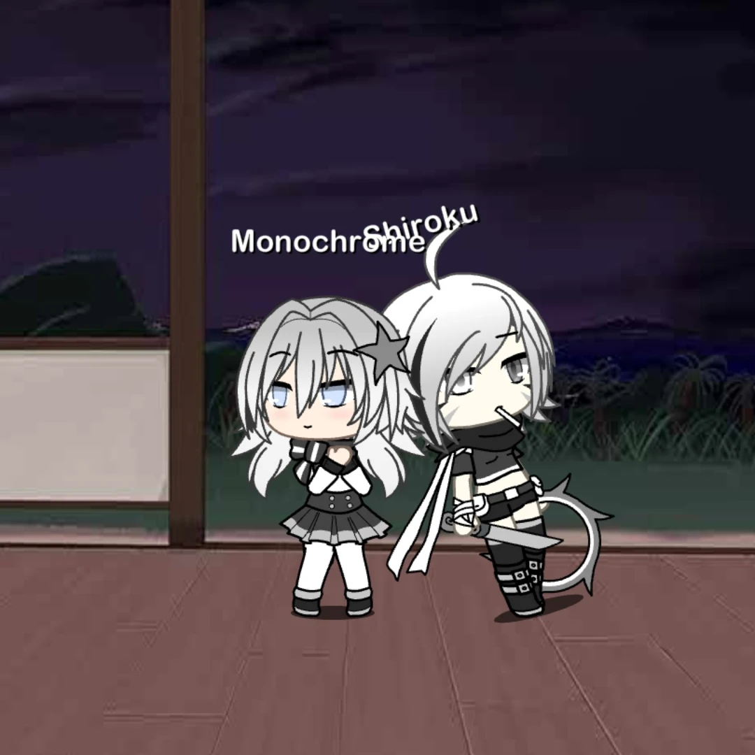 미시 슈티