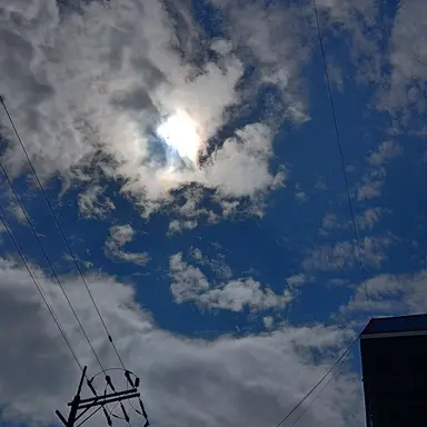 Profile image of 불법 교배장