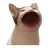 세이컨