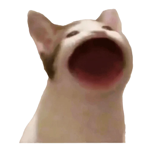 세이컨