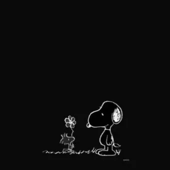 stella2000의 서우진