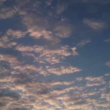 Profile image of 이민정