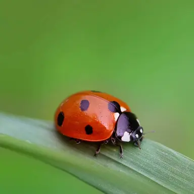 Profile image of 문아더