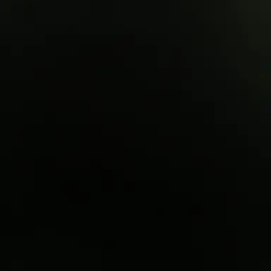 Profile image of 흑곰파조직