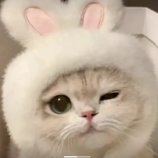 최_수_빈