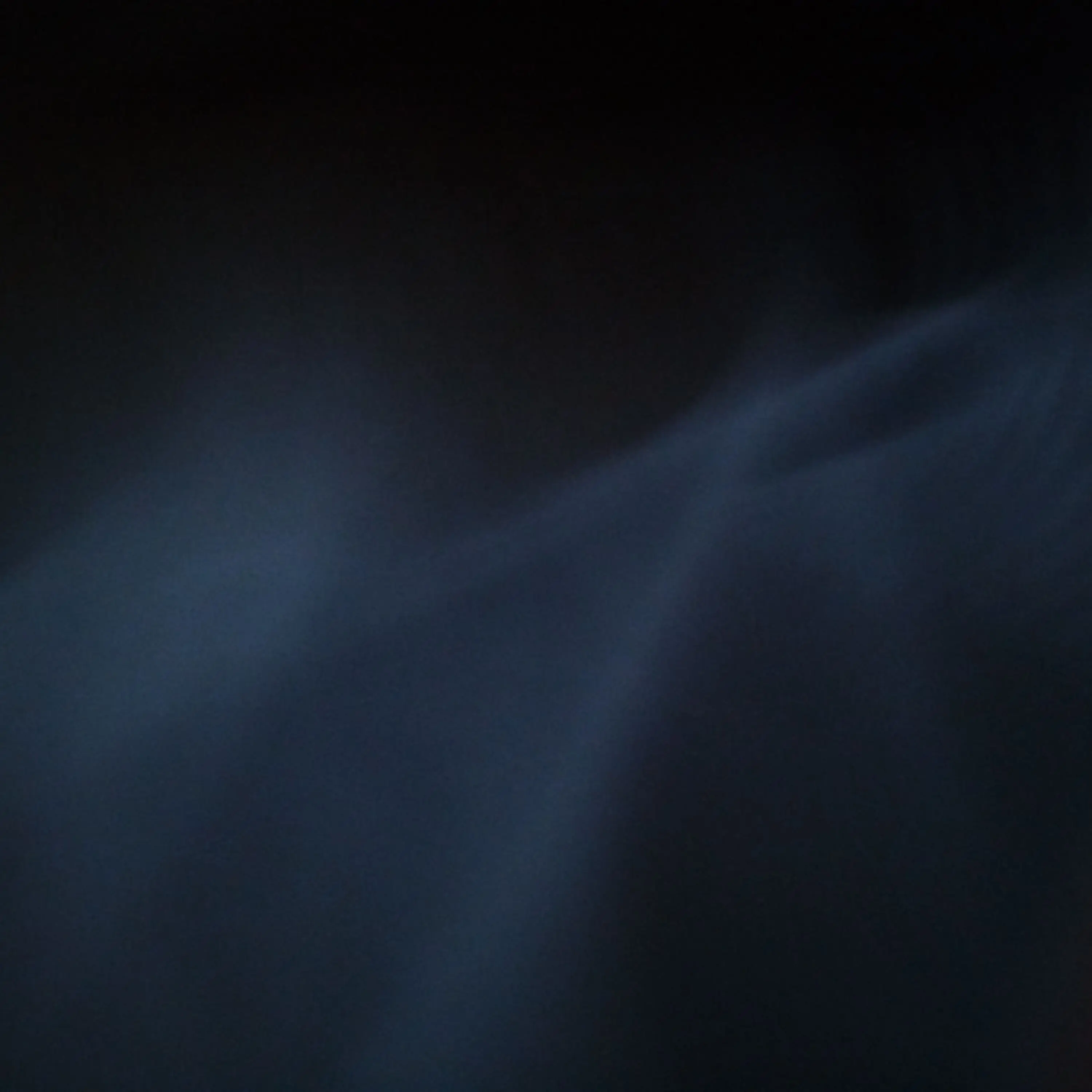 GruffFlag9178의 고양이를 주웠다.