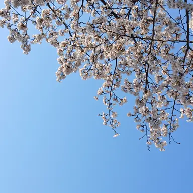 Profile image of 김민정
