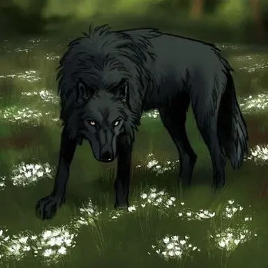 Profile image of 카이든