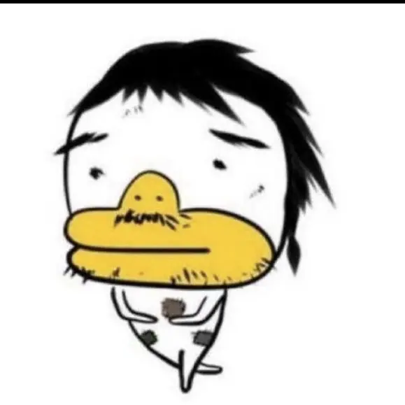 Sofofwofjwonjo의 노성은