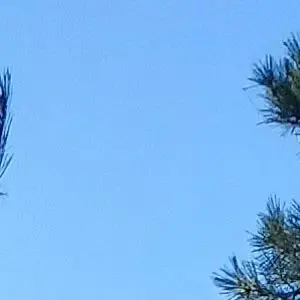 Profile image of 공지