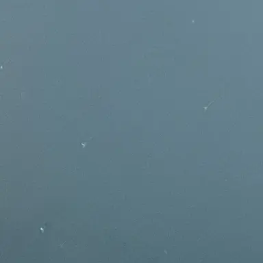 Profile image of 늑대