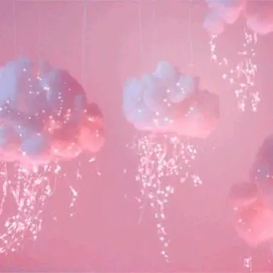 Profile image of 채밤비