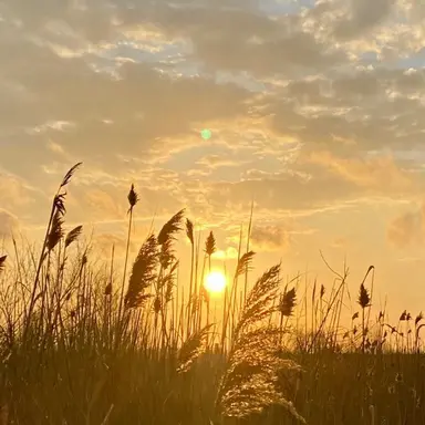 Profile image of 김각별