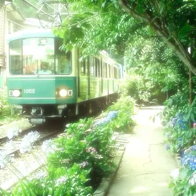 Profile image of 정공룡