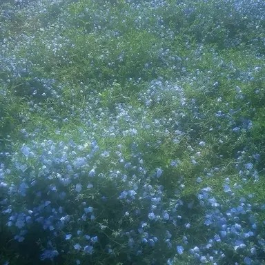 Profile image of 박잠뜰