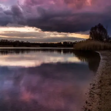 Profile image of 황수현