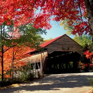 Profile image of 서라더