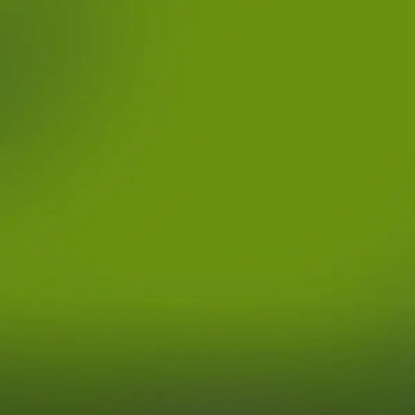 UniquePan1743의 정공룡