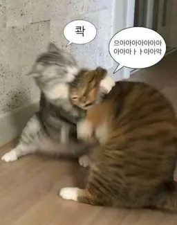 Profile image of 러비