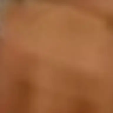 Profile image of 덕개