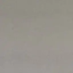 Profile image of 虎杖悠仁