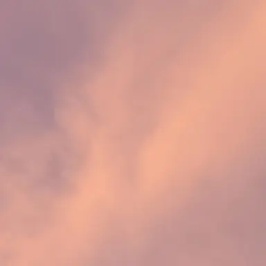 Profile image of 잠뜰