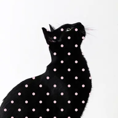 Profile image of 芳典