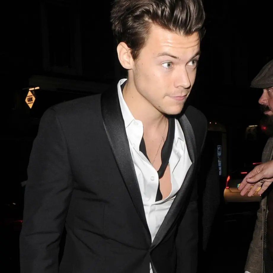 Elfie의 Harry Styles