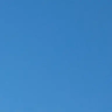 Profile image of 벨키