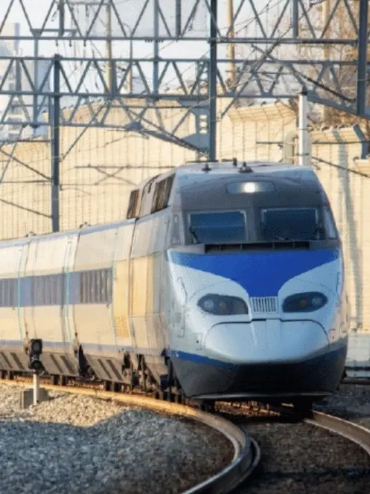 PeachyTape9157의 철도 단톡인데 여우가 들어옴;;;;