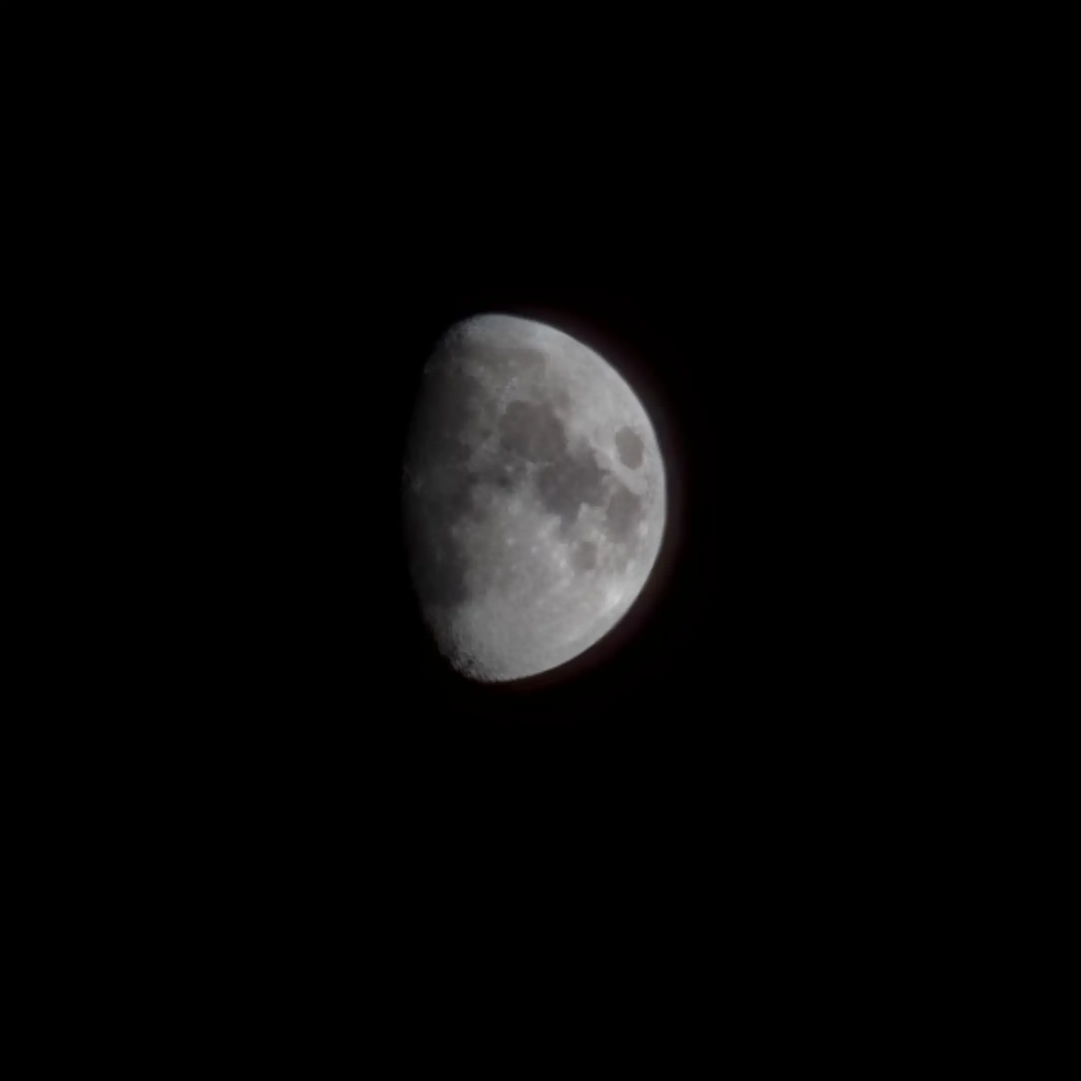 mira032100의 김동현