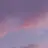 준브