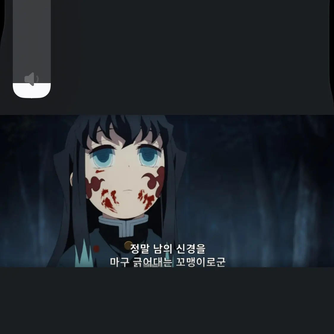 FlakyPig4069의 무이치로