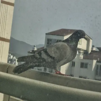 Profile image of 이하준