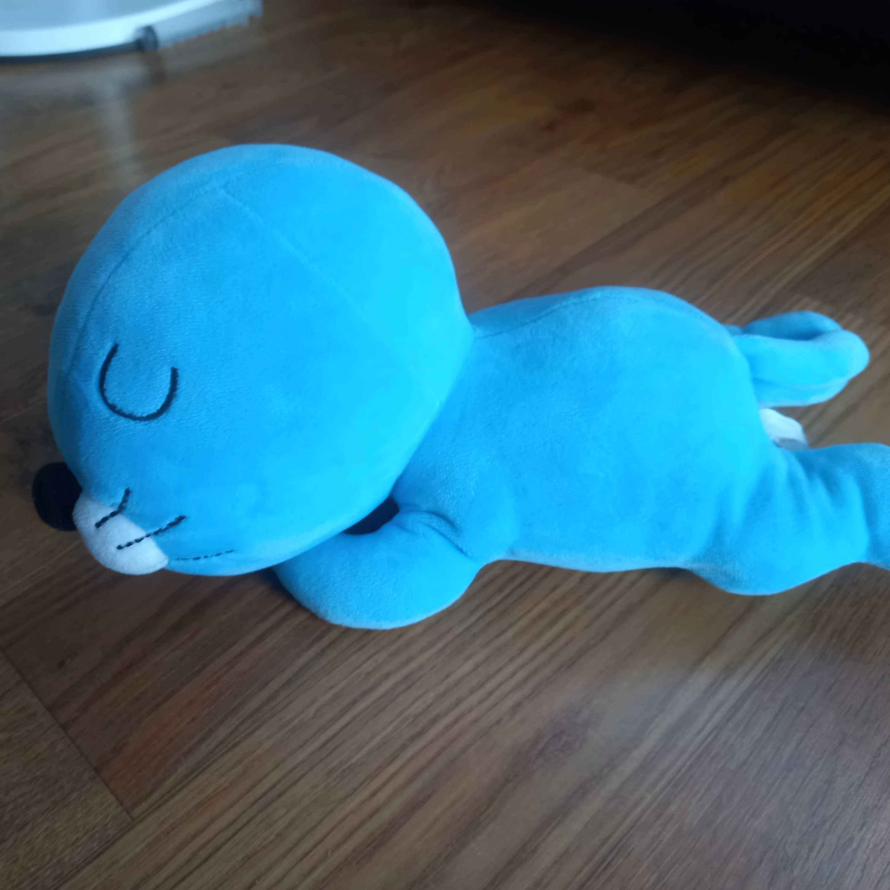 물개