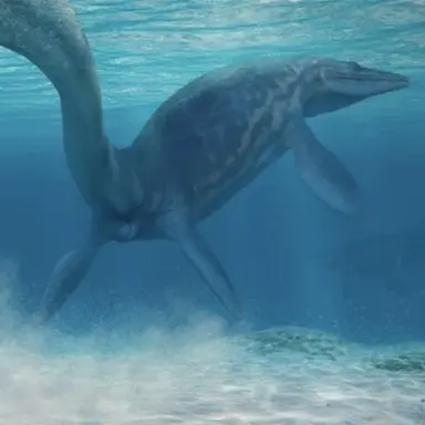 Profile image of 모사사우루스