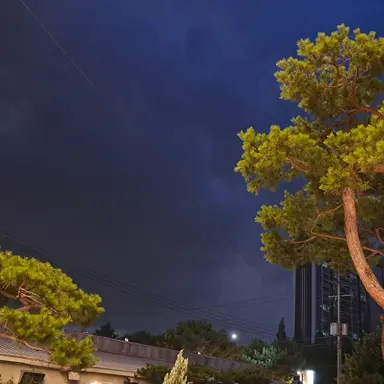 Profile image of 뜰팁조직