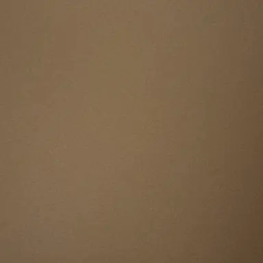 Profile image of 애니