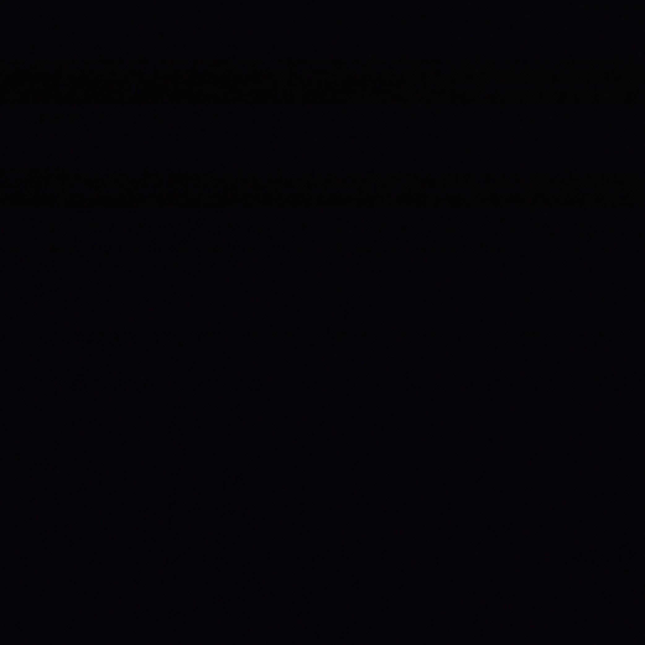 베일리
