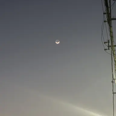 Profile image of 雑渡昆奈門