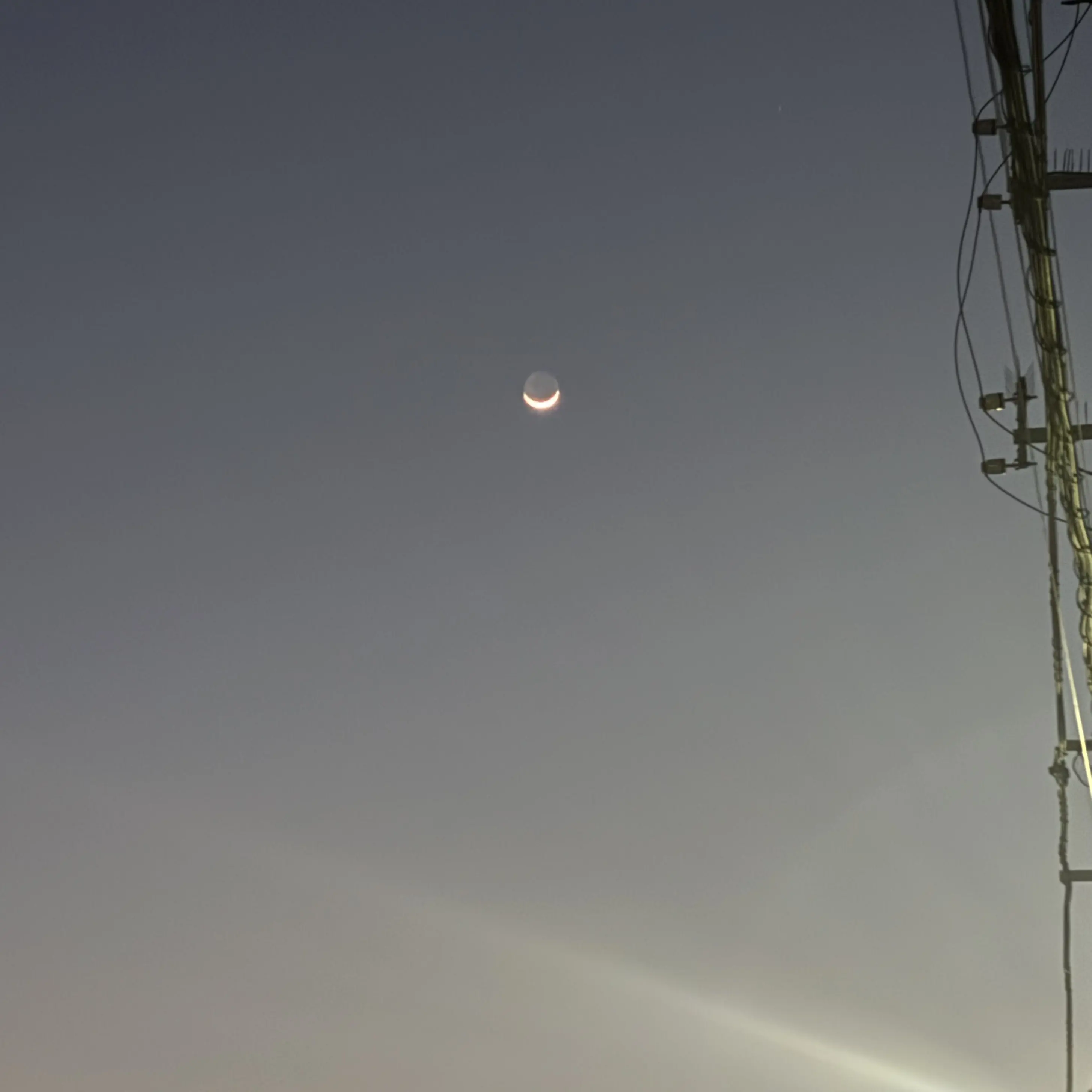 114.514_Nayu의 吸血鬼さーん！！