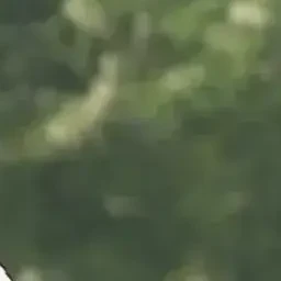 이지훈
